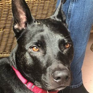 Meet your Posher, Matt